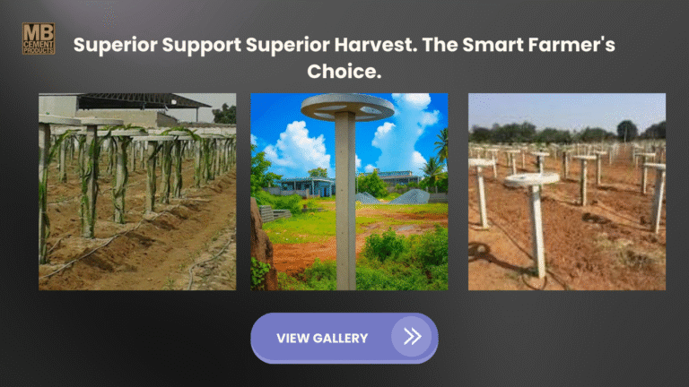 Dragon Fruit Cement Pole